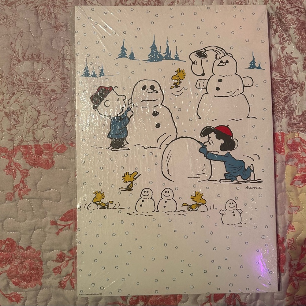 NWT Peanuts Charlie Brown 4PK Medium Christmas Gift Boxes